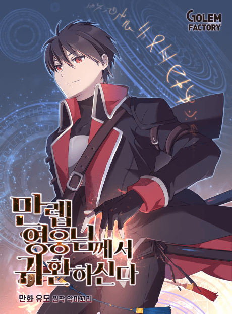 The Max Level Hero Has Returned